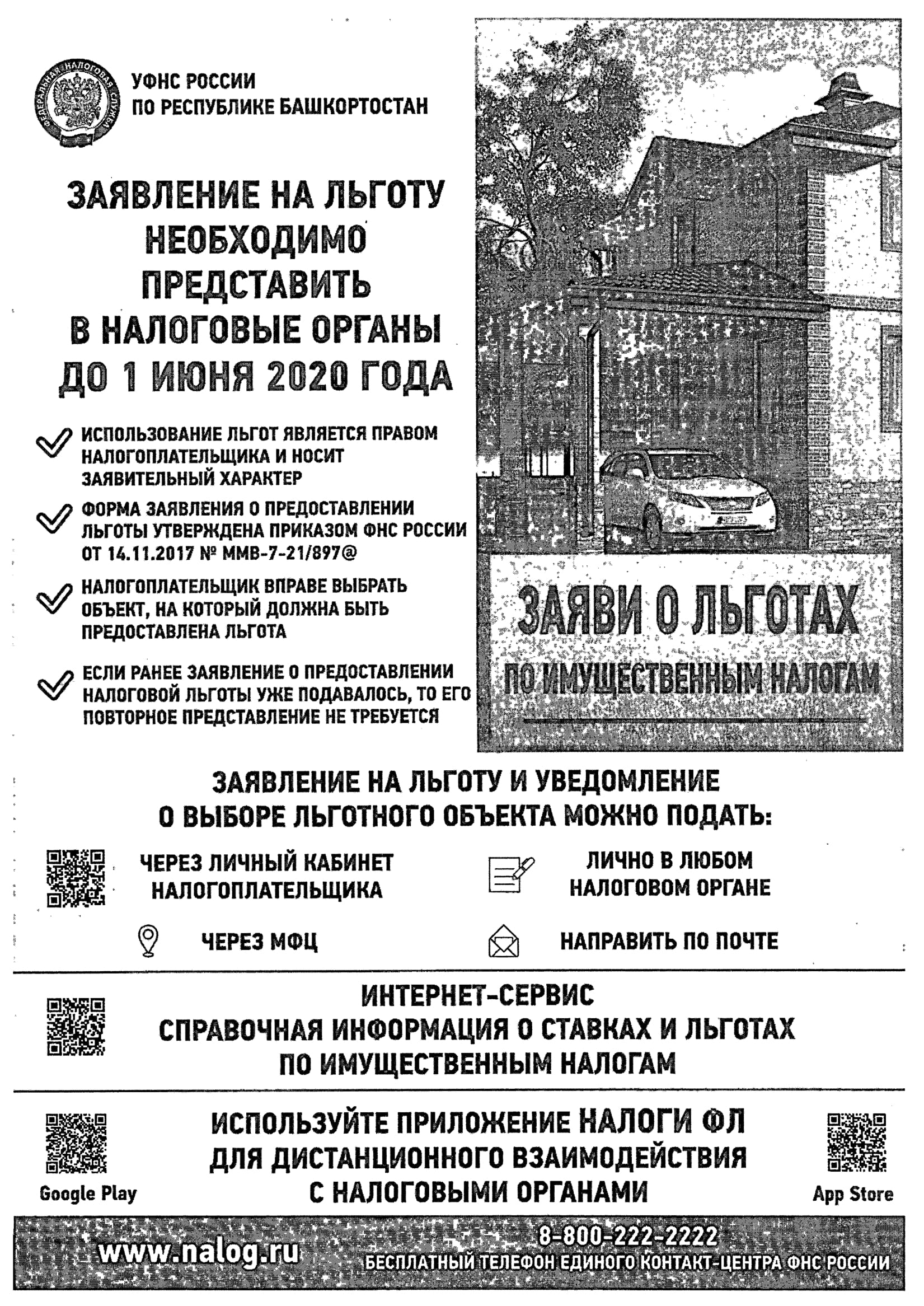 p5.jpg