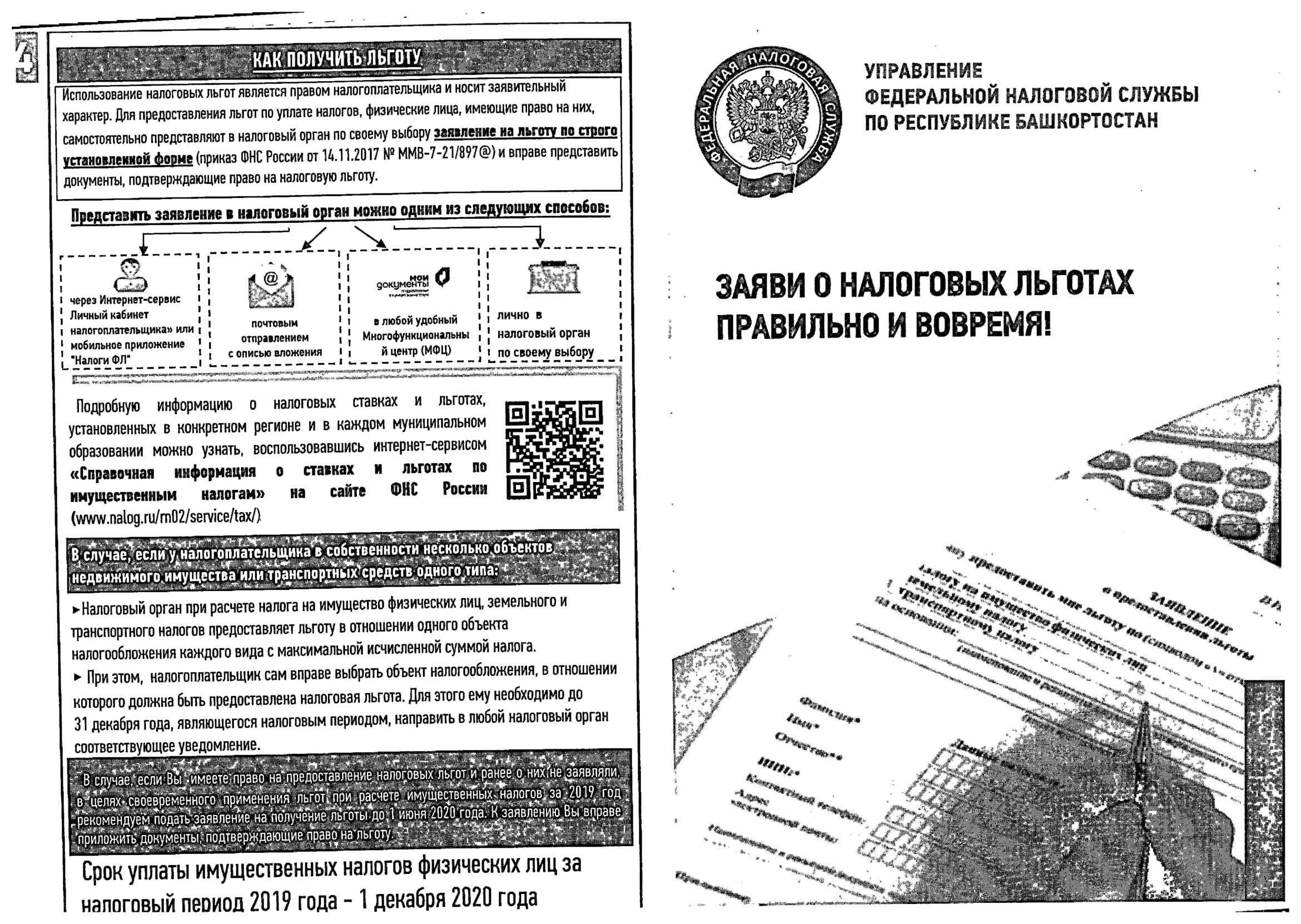 p6.jpg